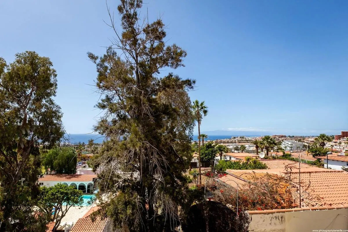 Villa Nicole Costa Adeje   Costa Adeje (Tenerife)
